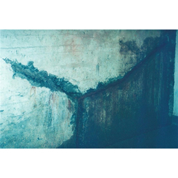 南京百樂建材 專業(yè)防水工程材料與安徽防水材料的全面解析